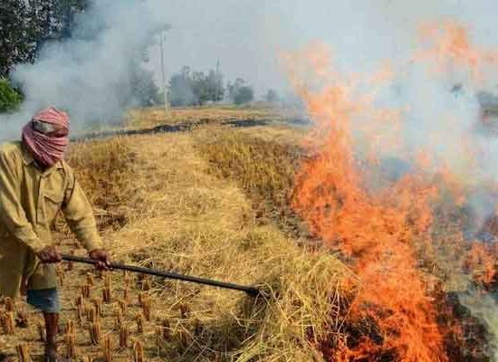 फरीदाबाद में पराली जलाने पर लगाया गया प्रतिबंध