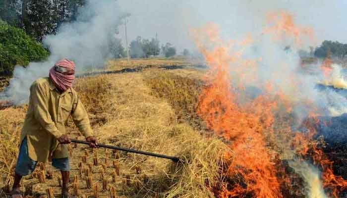 फरीदाबाद में पराली जलाने पर लगाया गया प्रतिबंध