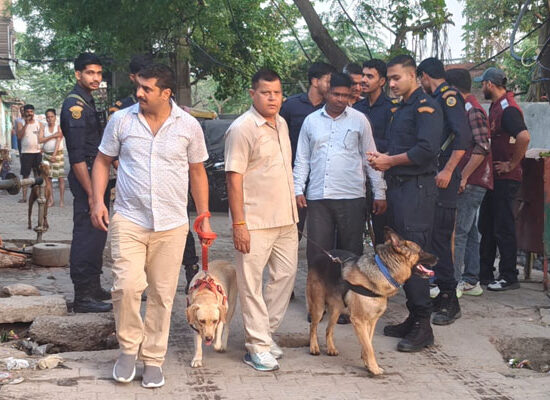 राहुल कॉलोनी में सर्च ऑपरेशन चलाती फरीदाबाद पुलिस की क्राइम ब्रांच टीम।