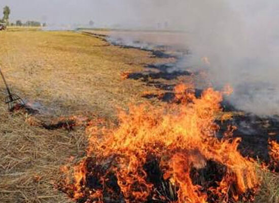 फसल अवशेष प्रबंधन योजना के तहत कृषि यंत्रों का उपयोग करते किसान।