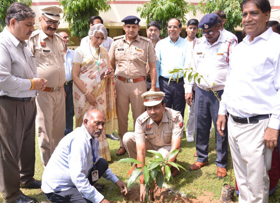 Students and dignitaries participating in tree plantation drive at DAV GPC Public School Faridabad