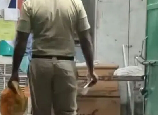 Newborn body found near cremation ground in Faridabad