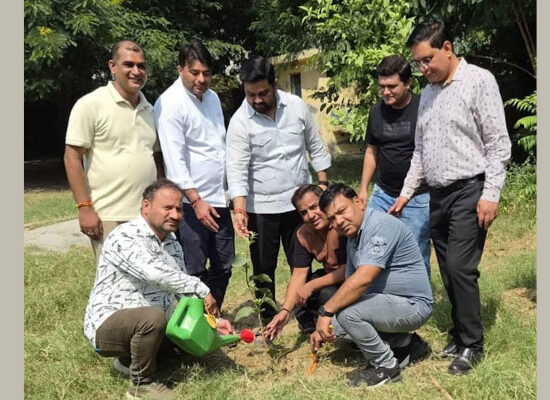 फरीदाबाद सेक्टर-3 में जन्मदिवस पर पौधारोपण करते संतसिंह हुड्डा